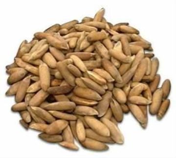 Picture of Organic Whole Pine Nuts (Chilgoza)